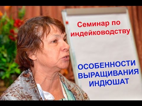 Видео: Особенности выращивания индюшат в первый период. Третьякова Л.А.