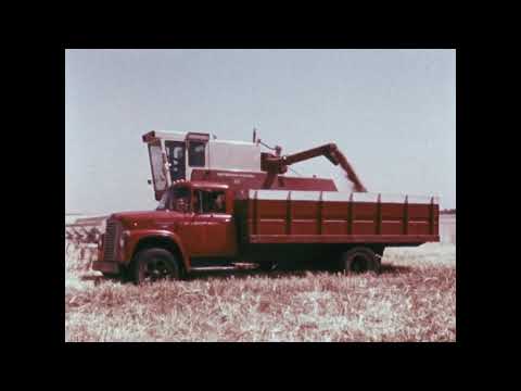 Видео: Пшеница с поля в муку (1973)