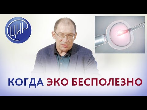 Видео: ЭКО, экстракорпоральное оплодотворение. Всегда ли надо делать ЭКО? Гузов И.И