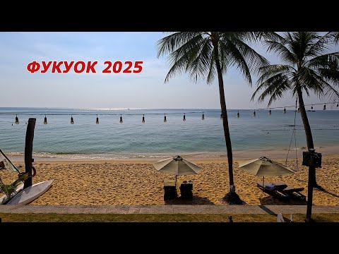 Видео: Фукуок 2025. Вьетнам. 1 серия. Знакомство с островом. Ловля кальмара.