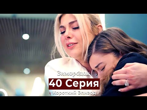 Видео: Зимородок 40 Cерия (Короткий Эпизод) (Русский дубляж)