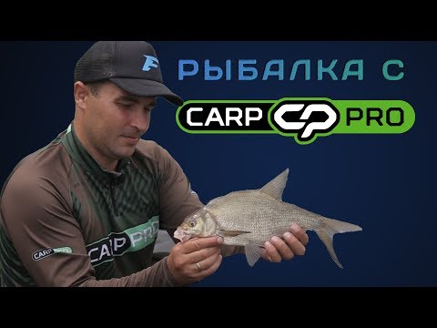 Видео: Ловля крупного леща на флэт фидер! Рыбалка с Carp Pro на диком Днепре!