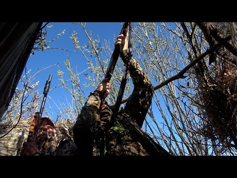 Видео: Охота на гуся на Вологодчине #27.2 Неактивный гусь