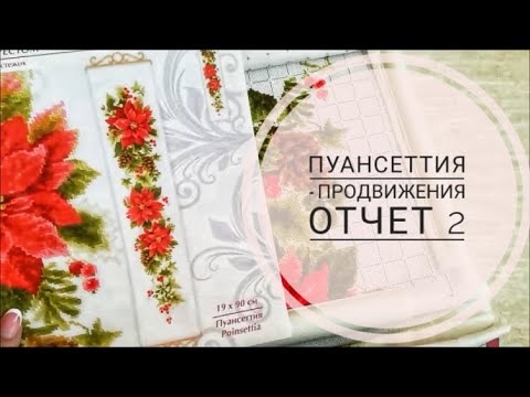 Видео: ♥217 Пуансеттия - продвижения за месяц. ОТЧЕТ 2