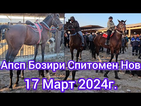 Видео: Аспхои Бузи Диромад  Асп Бозори Нов👍💯