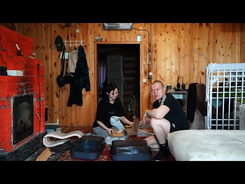 Видео: НАША ПРОСТАЯ ЖИЗНЬ В УРАЛЬСКОЙ ГЛУБИНКЕ. ПОТИХОНЬКУ ДЕЛАЕМ ДЕЛА. ПРИШЛИ ПЕРВЫЕ ЗАМОРОЗКИ.