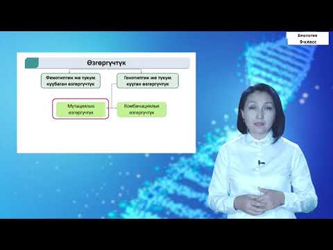 Видео: 9-класс  | Биология  | Мутациялар-генетикалык материалдын тукум куучу өзгөргүчтүгү