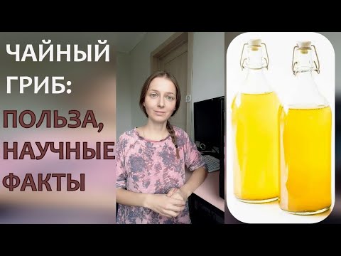 Видео: Чайный гриб: польза, научные исследования, рекомендации