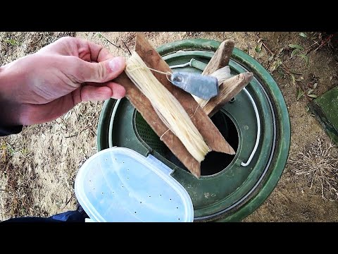 Видео: ЭКСТРЕМАЛЬНАЯ РЫБАЛКА. ЗАКИДУШКИ НА ЖИВЦА. МОРОЗ -5.