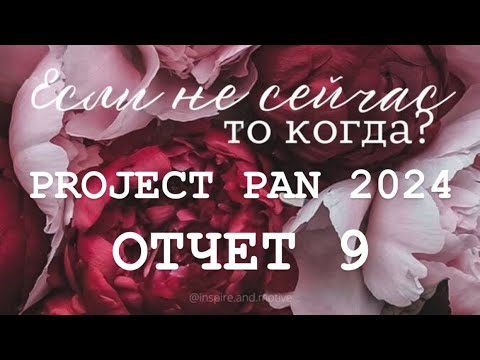 Видео: Бесконечный PROJECT PAN 2024 Отчет 9