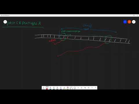 Видео: нәруыз синтезі