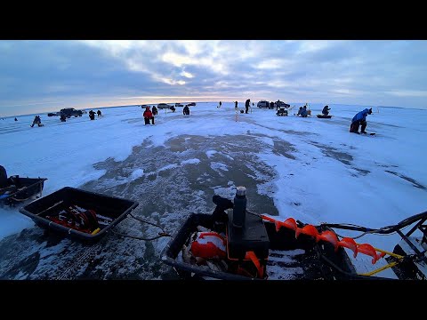 Видео: ГЛАВНОЕ НЕ  ВПАЛИТЬСЯ!! КУЧА РЫБЫ ПОД НАМИ! НОВАЯ ПРИМАНКА ЛОВИТ РЫБУ! Зимняя рыбалка 2025!