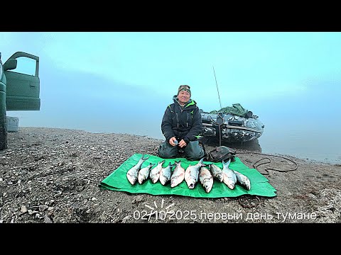 Видео: РЫБАЛКА НА РЕКЕ ИЛИ ОСЕННЯЯ 🎣🙏