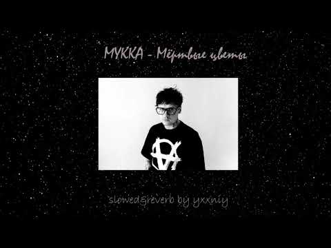 Видео: МУККА - Мертвые цветы (slowed&reverb by yxxniy)