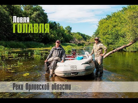Видео: Ловля голавля. Реки Орловской области