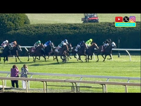 Видео: Захватывающий финиш двухлетних кобыл, борющихся за место в Кубке заводчиков на Jessamine Stakes 2...