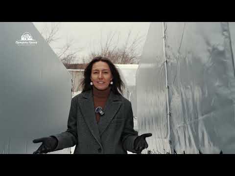 Видео: Какой же прицеп для снегохода лучше? Сравнение прицепов в размере 3,5х1,5 в нашем обзоре