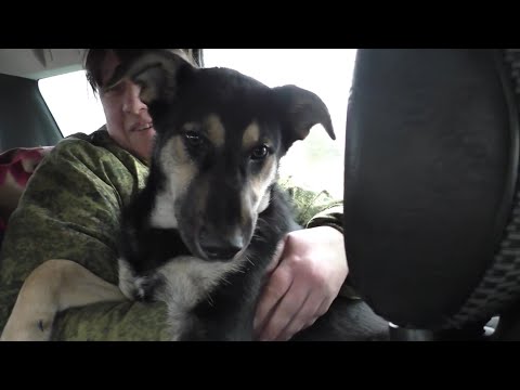 Видео: МАЛЫШУ ГОДИНА! Вспомнил как это было И СХОДИЛ ПО ГРИБЫ В ЛЕС!