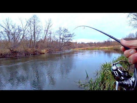 Видео: ВОТ ЭТО РЫБИНА МНЕ ПОПАЛАСЬ НА ЗАКАТЕ. ВСЕ РУКИ В КРОВЬ ОТ НЕЕ. Рыбалка на спиннинг