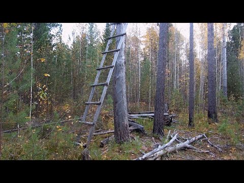 Видео: В поисках "Чертова кладбища". Экспедиция ЧК-2022