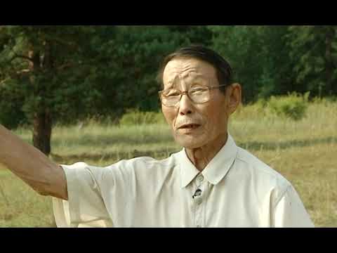 Видео: Лаамылыыр суол төрдүгэр. (Легенды речки Тамма)