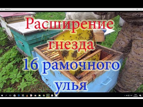 Видео: РАСШИРЯЕМ 16 РАМОЧНЫЕ УЛЬИ С ПЧЁЛАМИ ДО ПОЛНОГО КОМПЛЕКТА И ОБНОВЛЕНИЯ ГНЕЗДА🔥🔥🔥.