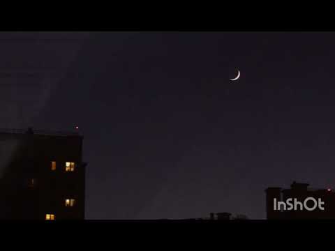 Видео: 1 октября 2025 г.