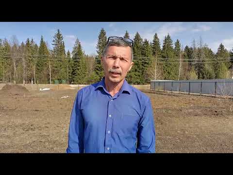 Видео: Обрезка саженцев после покупки и далее