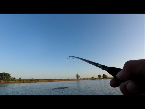 Видео: РЫБАЛКА НА ЧАРЫШЕ, МАНДУЛА ИЛИ ТИОГА? ЖОР ЩУКИ НА РЕКЕ В ИЮНЕ!