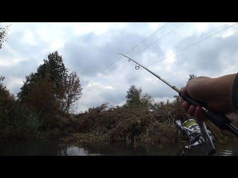 Видео: Рыбалка на щуку. Ловля на малой реке с лодки