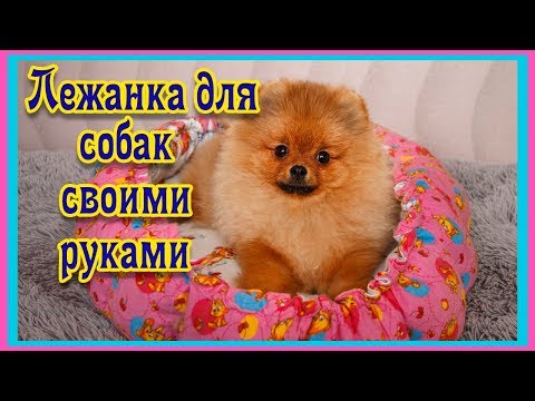 Видео: DIY  Пошив лежанки для собак  Шпицы довольны