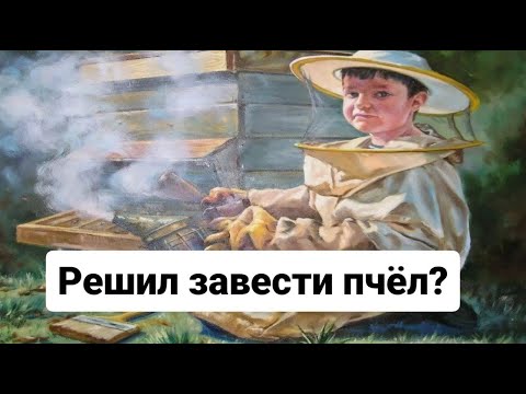 Видео: С чего начать пчеловодство. Что надо знать если вы решили завести пчёл.