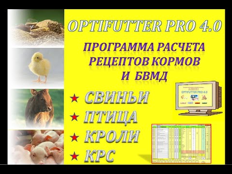 Видео: OPTIFUTTER PRO 4 0 КАК СДЕЛАТЬ ПРЕМИКС ИЛИ БВМД ДЛЯ СВИНЕЙ, ПТИЦ, КРС, КРОЛИКОВ