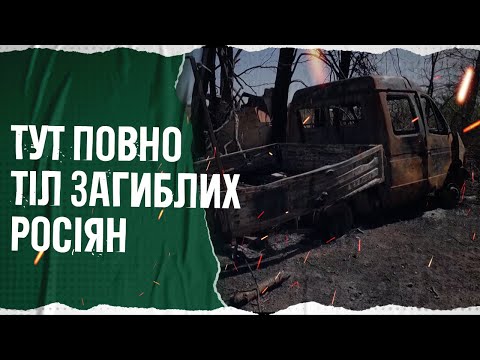 Видео: Трупний сморід та рештки окупантів. У селі Благодатному дорога встелена тілами російських солдат