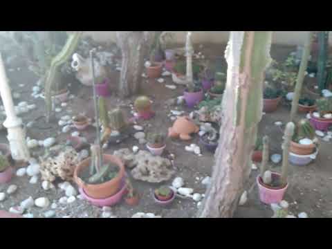 Видео: Отель клуб Рама 4*, территория.Продолжение.Эфиры день в день.