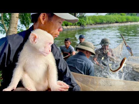 Видео: Обезьянка Луна и её дедушка каждый день борются за выживание.