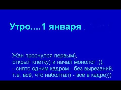 Видео: Утро.... 1 января  ! - снято ОДНИМ кадром!