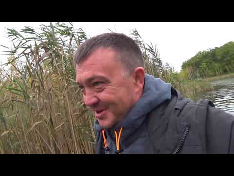 Видео: Черный лес.Первый раз на черном озере(Берестоватое) Новый  Garret Ace I 400.Еле доехал домой.