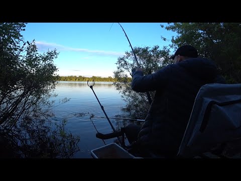 Видео: Рыбалка в Киеве.Ловля на Набережной. Фидерная рыбалка в Киеве на Днепре.