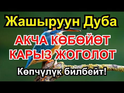 Видео: Миллионерлердин купуя байлык дубасы жашооңдо молчулук менен береке жаратат