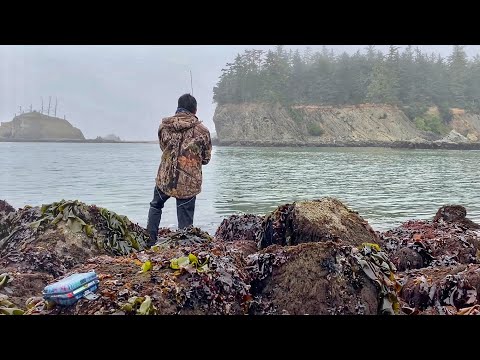 Видео: Кемпинг на грузовиках на побережье Орегона, ловля крабов, поиск пропитания, ловля и приготовление...