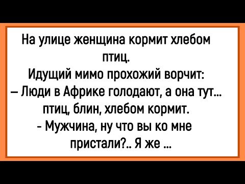 Видео: 💎 Как Женщина Хлебом Птиц Кормила! Сборник Смешных Анекдотов! Юмор! Позитив!