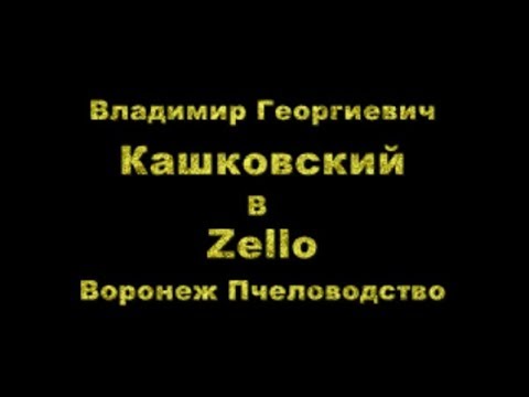 Видео: В Г Кашковский встреча с пчеловодами на канале Воронеж Пчеловодство Zello 14 03 2019