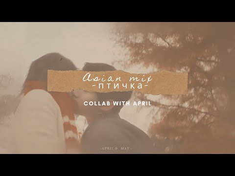 Видео: Asian Mix ┋ Птичка ➩ w/h April Nadya