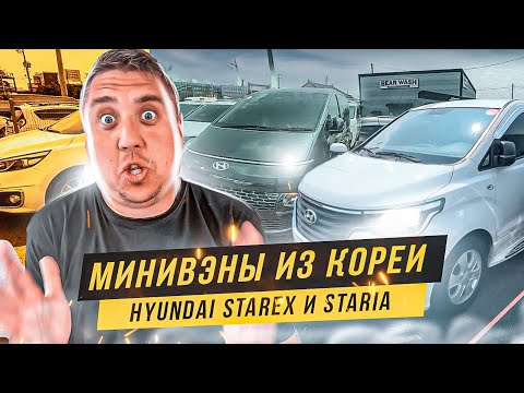 Видео: Авто из Кореи. Самые популярные минивэны Hyundai Starex и Staria. Kia Carnival во Владивостоке