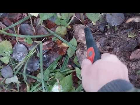 Видео: Поиск металла в лесу. Minelab X terra 705.