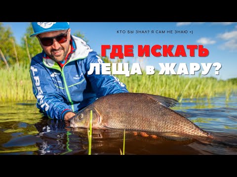 Видео: Где искать ЛЕЩА в жару?!  Рыбалка на фидер в английском стиле!