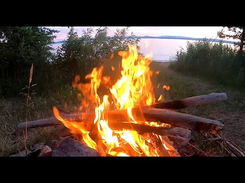 Видео: Самоизоляция на Озере Увильды