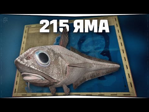 Видео: 215 яма Норвежского моря • Редкие виды • Русская Рыбалка 4