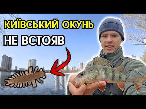 Видео: Шукали ЖОР ОКУНЯ перед НЕРЕСТОМ! А Знайшли...ЧУДОВУ Приманку на Пасивну рибу!